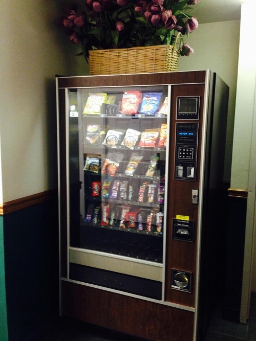 Bay City Motor Inn image 13